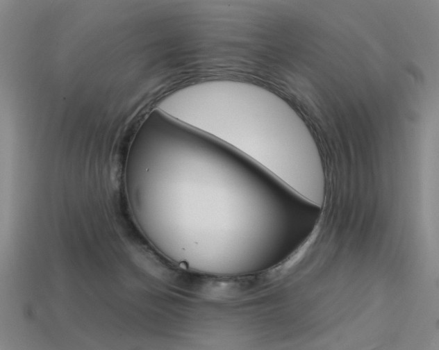 X0000113260174200909101257