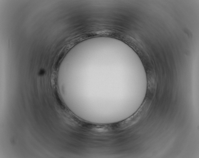 X0000113260175200909101257