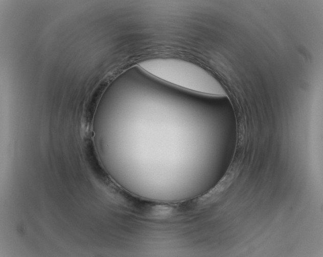 X0000113260176200909101257