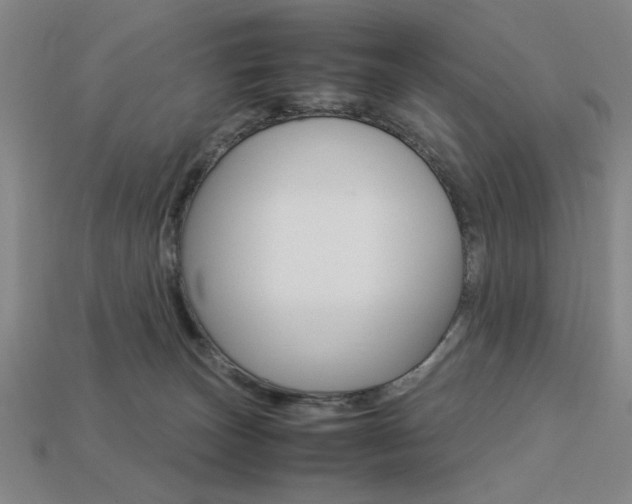 X0000113260179200909101258