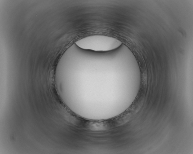 X0000113260181200909101258