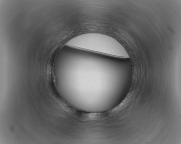 X0000113260184200909101258