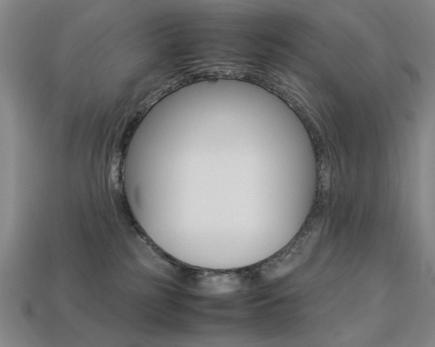 X0000113260185200909101258