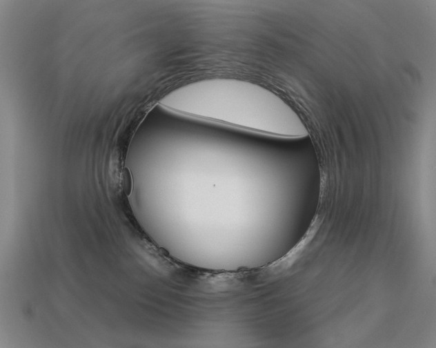 X0000113260186200909101258