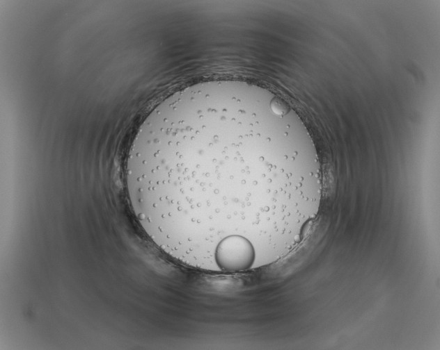 X0000113260187200909101258