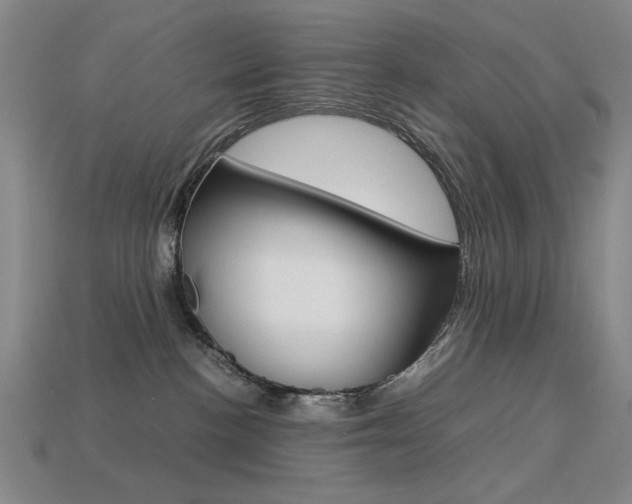 X0000113260188200909101258