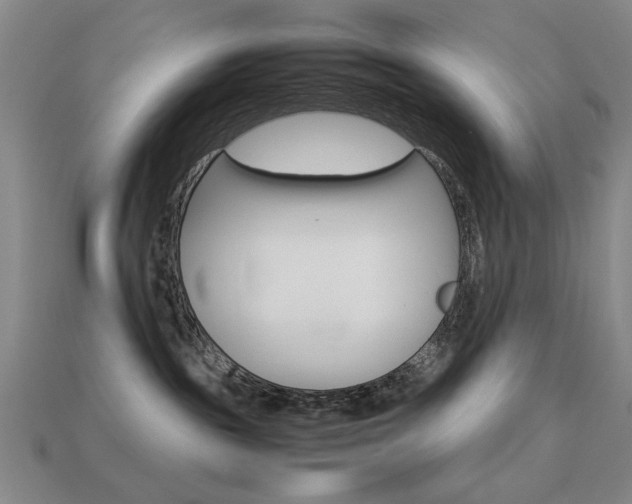 X0000113260189200909101258