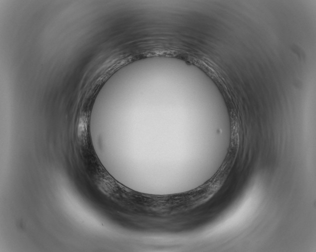 X0000113260191200909101258