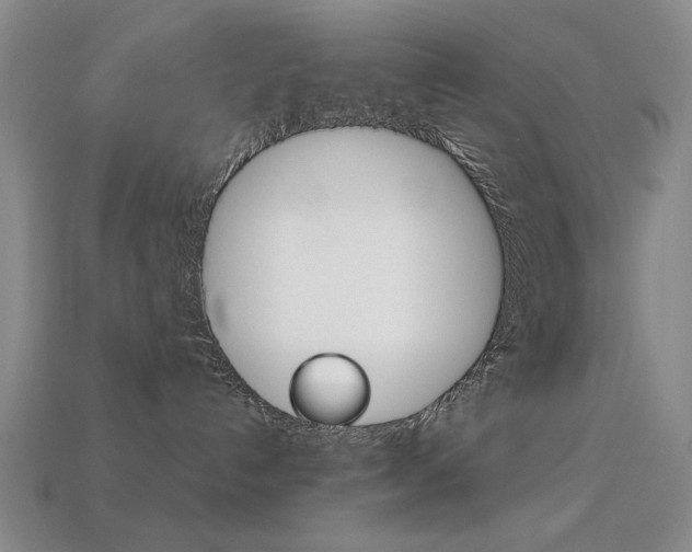 X0000113260192200909101258