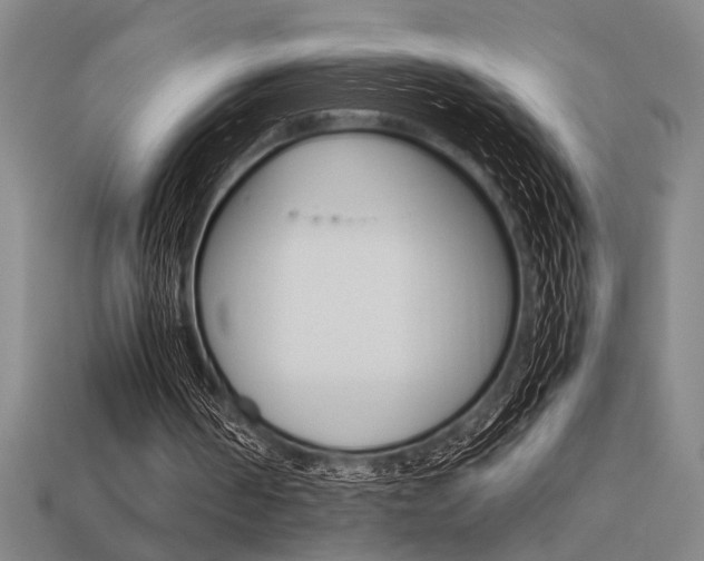 X0000113260194200909101257