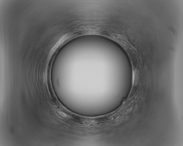 X0000113260195200909101257