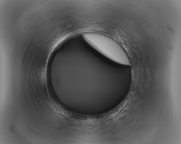 X0000113260196200909101257