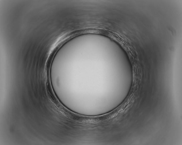 X0000113260198200909101257