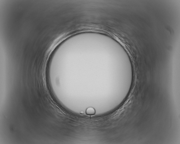 X0000113260199200909101257