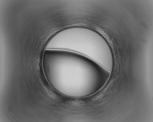 X0000113260201200909101257