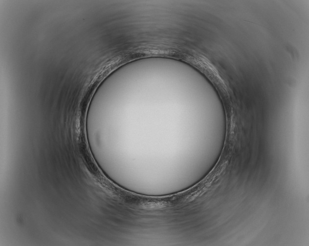 X0000113260202200909101257