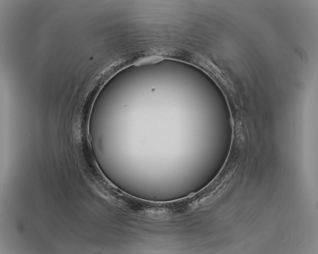 X0000113260203200909101257