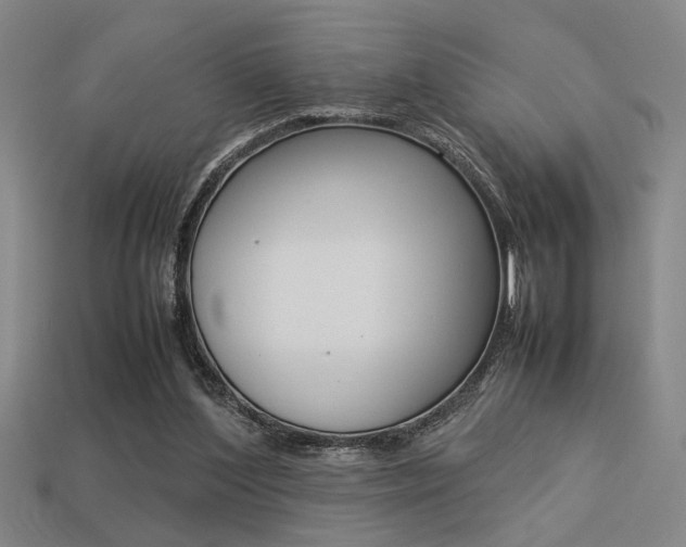 X0000113260204200909101257