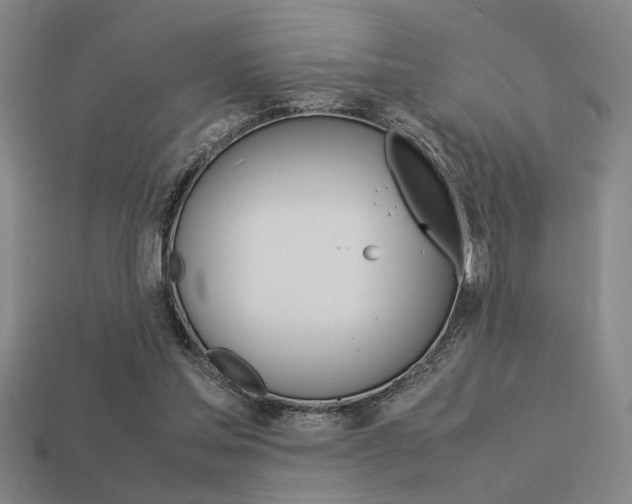 X0000113260205200909101257