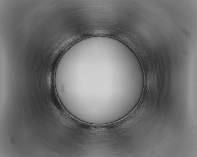 X0000113260206200909101257