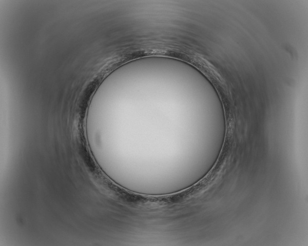 X0000113260209200909101257