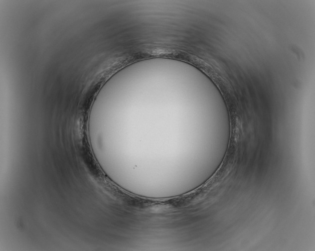 X0000113260210200909101257