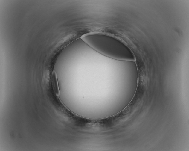 X0000113260211200909101257