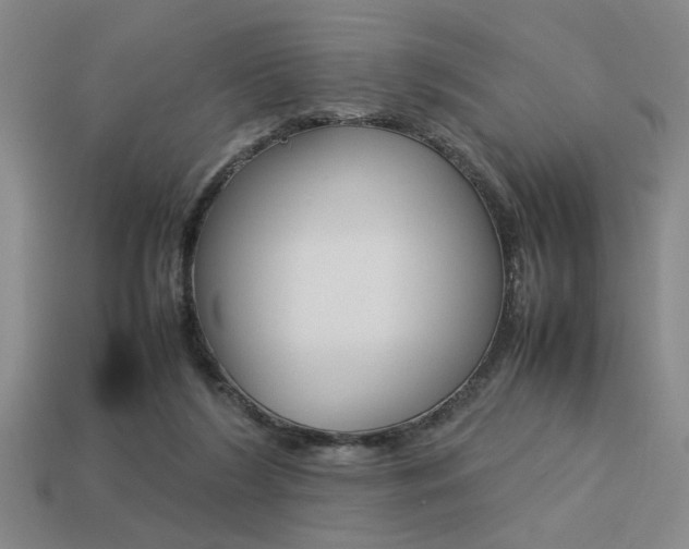 X0000113260212200909101257