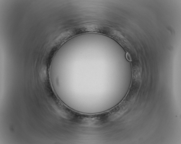 X0000113260213200909101257