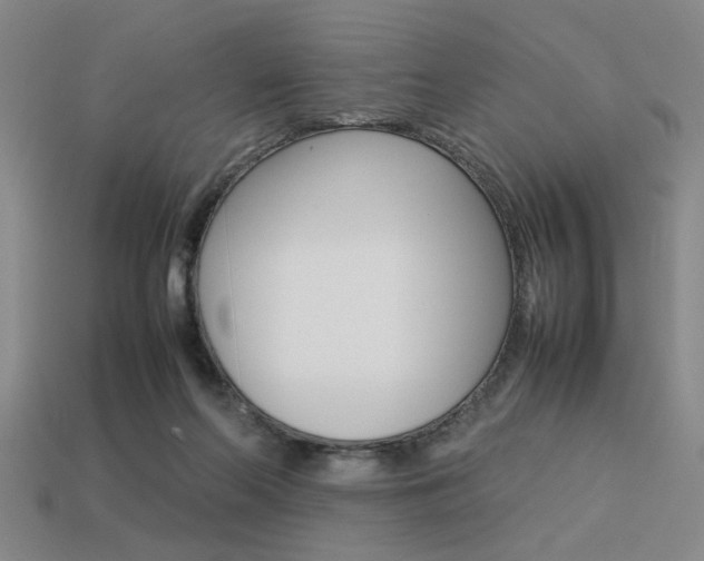 X0000113260214200909101257