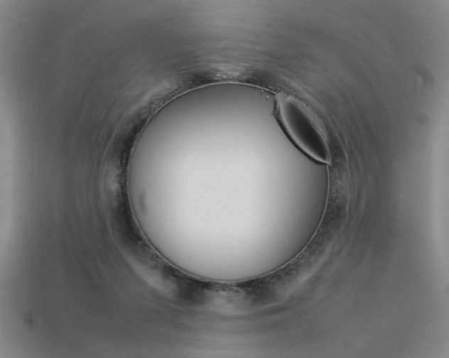 X0000113260215200909101257