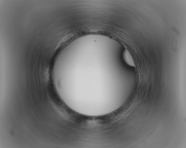 X0000113260216200909101257