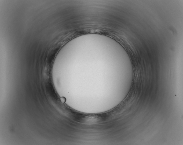 X0000113260218200909101257