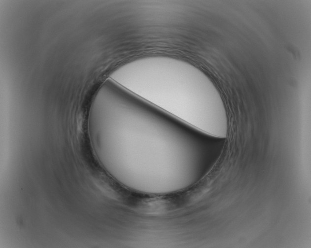 X0000113260219200909101257