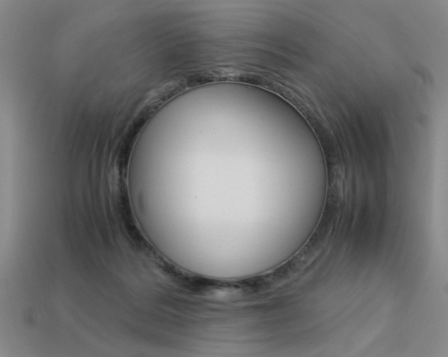 X0000113260220200909101257