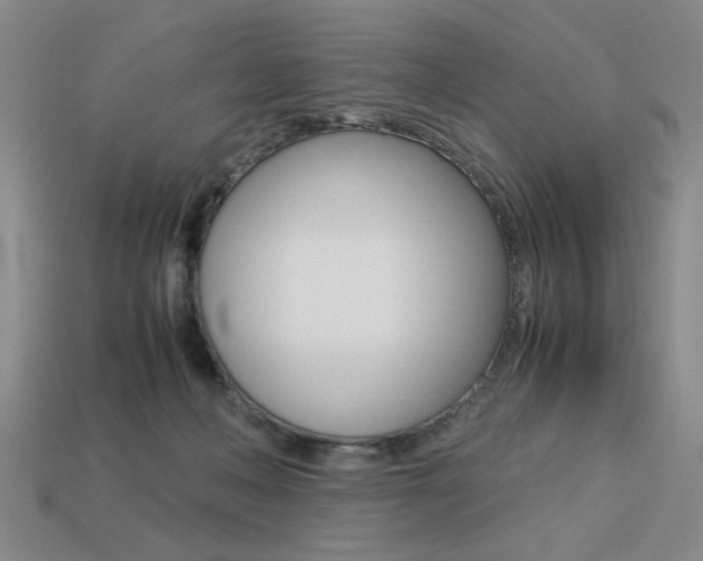 X0000113260222200909101257