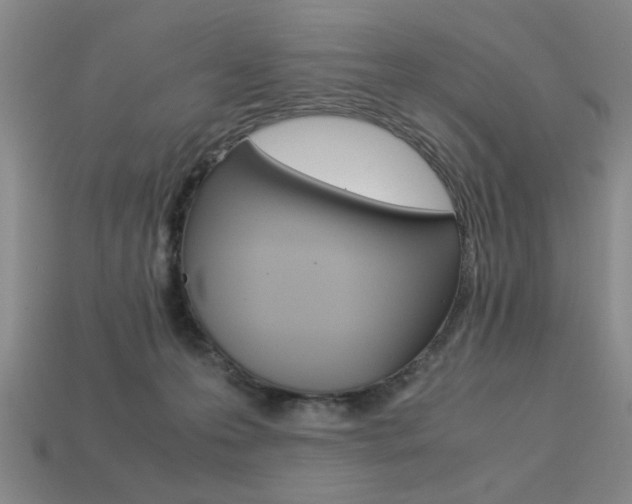 X0000113260223200909101257