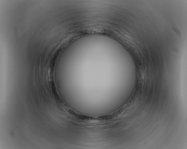 X0000113260224200909101257