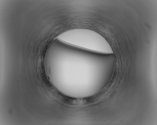 X0000113260225200909101257