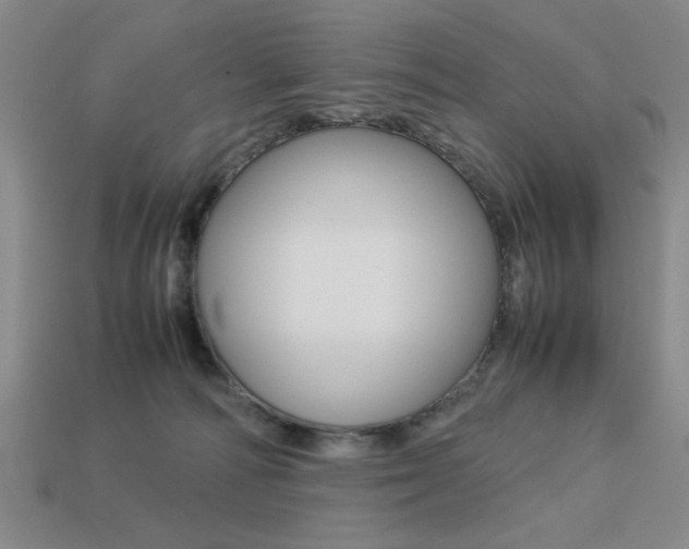 X0000113260226200909101257