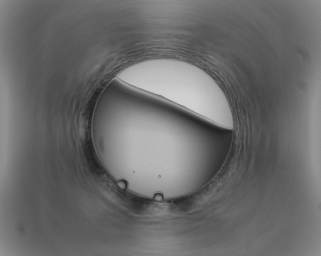 X0000113260227200909101257