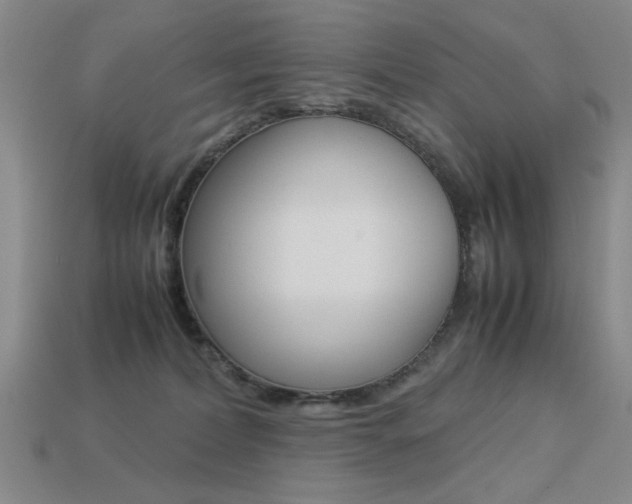 X0000113260228200909101257