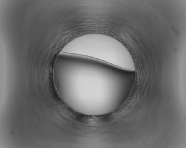 X0000113260229200909101257