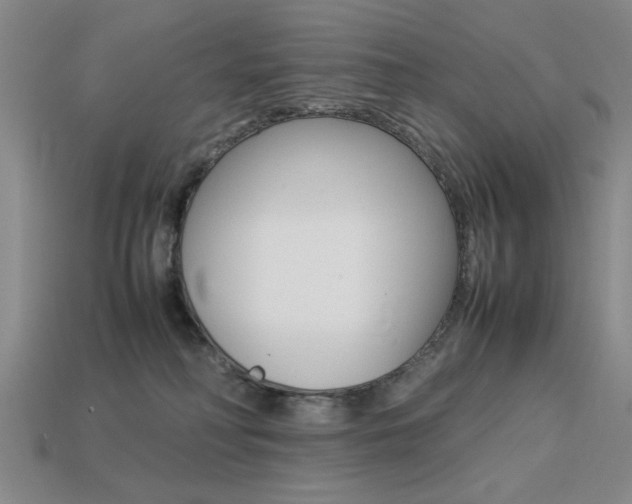 X0000113260230200909101257