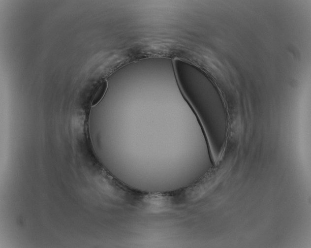 X0000113260231200909101257