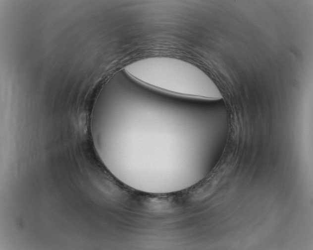 X0000113260232200909101257