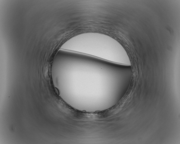 X0000113260233200909101257