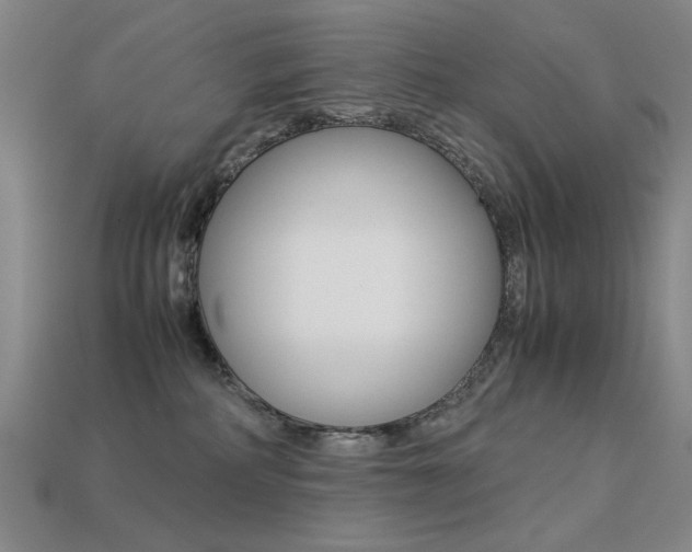 X0000113260234200909101257