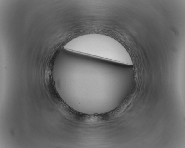 X0000113260235200909101257