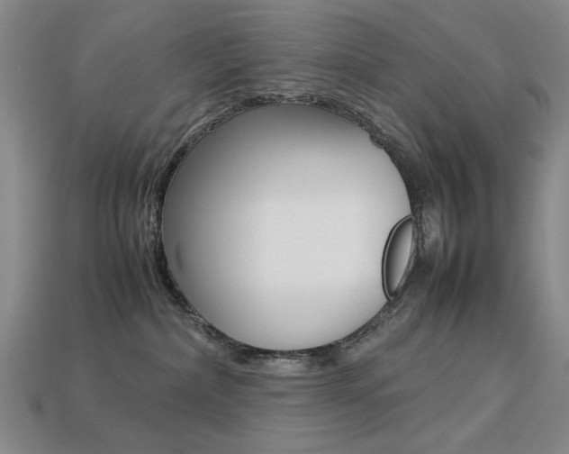 X0000113260236200909101257